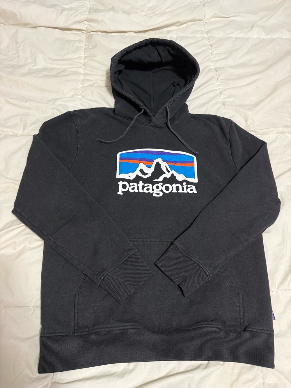 Patagonia Black Hoodie with Multicolor Mountain Logo - Men